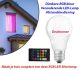 Dimbare RGB kleur Veranderende LED-Lamp Afstandsbediening