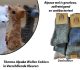 6-Paar Thermo Alpaka Wollen Sokken in Verschillende Kleuren (39-43)