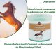 Paardenbalsem koelt, Ontspant en Bevorderd de Bloedsomloop 250ml